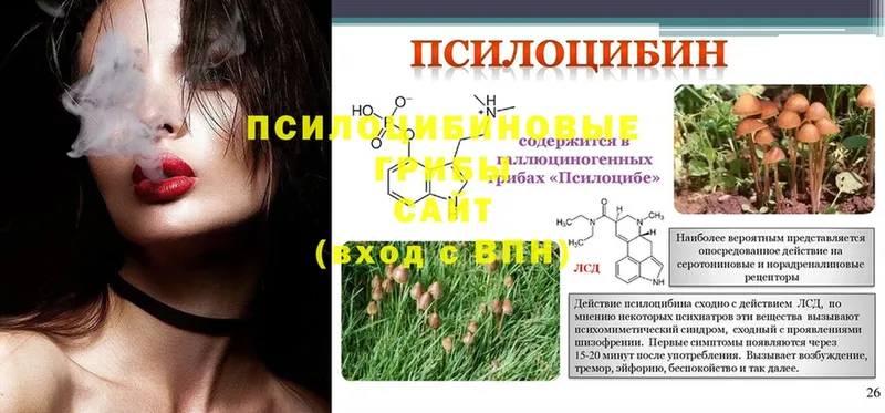 Псилоцибиновые грибы MAGIC MUSHROOMS  купить  сайты  Данилов 